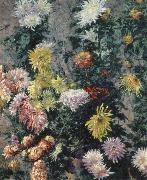Gustave Caillebotte Chrysanthemums,Garden at Petit Gennevilliers oil painting reproduction
